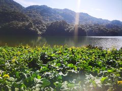 -广州市石门国家森林公园