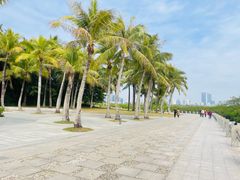 -深圳湾公园(南山区)
