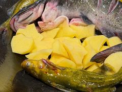 -老渔翁炖鱼坊(开发区东山总店)