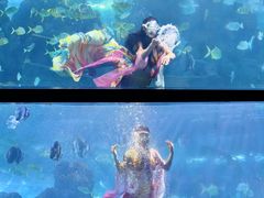 -重庆欢乐海底世界