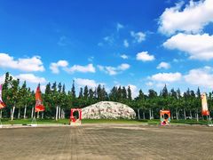 -上海海湾国家森林公园