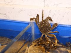 -澜悦港海鲜体验主题餐厅