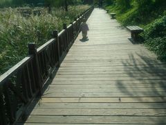 -小小运动馆(罗宾森中心)