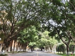 -广东外语外贸大学(白云山校区)