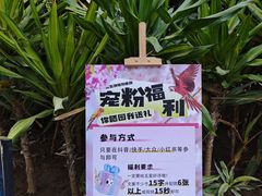 -南宫五洲植物乐园