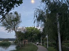 -洱海月湿地公园