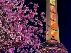 -东方明珠广播电视塔