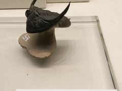 -天津自然博物馆