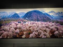 -罗红摄影艺术馆