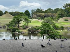 -水前寺成趣园