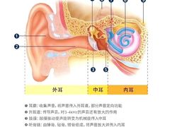 -惠耳听力助听器(霍邱新蓼大道店)