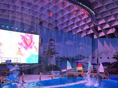 -海合安武汉极地海洋公园
