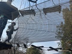 -WeLope紫金山探险公园
