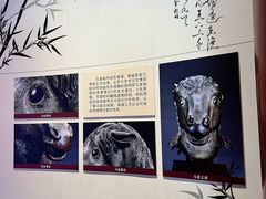 -中卫御苑福膳·养生局(圆明园店)