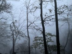 -武当山风景区
