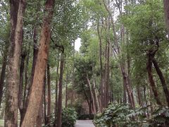 -东湖落雁景区