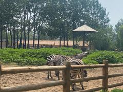 -大连森林动物园