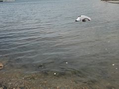 -青海湖二郎剑景区