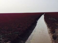 -红海滩国家风景廊道