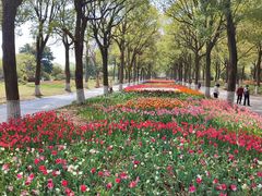-上海鲜花港