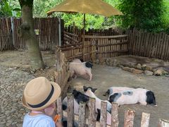 -泉州海丝野生动物世界