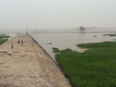 -南汇嘴观海公园