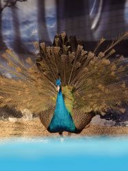 -酷嗒动物文化乐园(cutezoo西溪乐天城店)