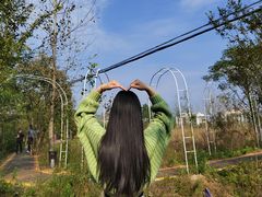 -金孔雀温泉旅游度假村