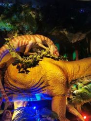 -恐龙探索乐园(磁器口店)