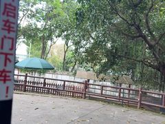 -深圳野生动物园