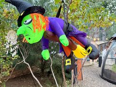 -禧宴Joyous Restaurant(禧园店)