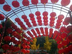 门面-龙福源密云水库灶台鱼