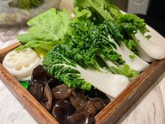 -汤城·料青山