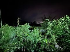 -万兴启丰椰子文化园餐厅