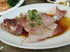 -轩记海鲜餐厅·四十五年老字号·经典粤菜(西区彩虹店)