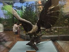 -陕西自然博物馆