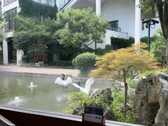 -广富林宰相府酒店·水云间