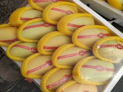 -西北农副产品中心批发市场(广安路店)