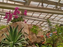 -石家庄市植物园