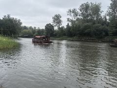 -溱湖国家湿地公园