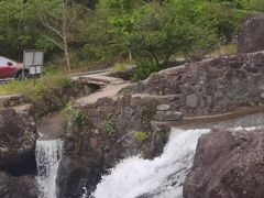 -天目山大树王景区