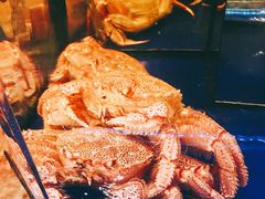 -蟹道乐(道顿堀本店)