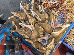 -吴记富苑(朝阳店)