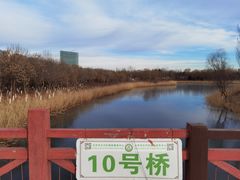 -大兴滨河森林公园