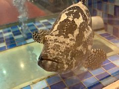 -顺峰(南二环店)