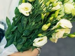 -循礼门鲜花花市(武汉循礼门店)