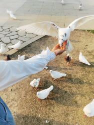 -玄武湖景区-情侣园游乐场