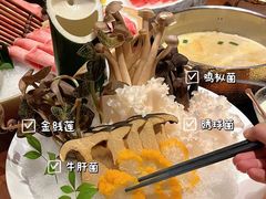 -揽季锅物会·海鲜姿造(五四路店)