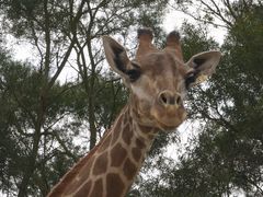 -泉州海丝野生动物世界