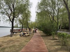 -丁香湖公园